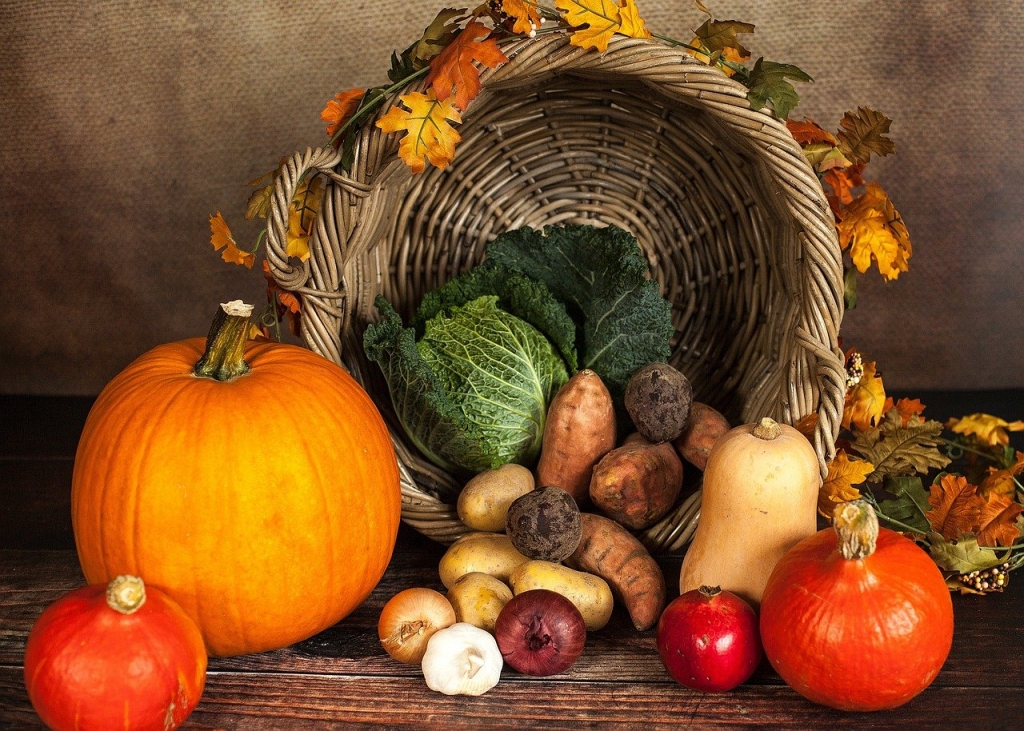10月から秋本番！なんで食欲の秋？