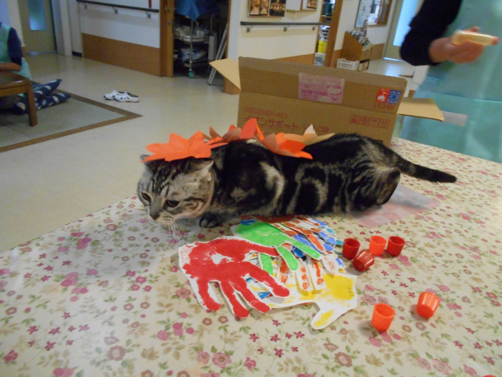 こまくさ紅葉散策